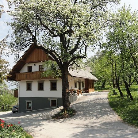 Farm Stay Dolinar Krainer Bohinjska Bela Kültér fotó